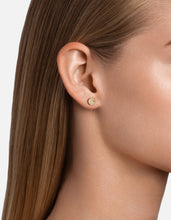 Load image into Gallery viewer, Rey Studs, Gold Vermeil/Sapphires
